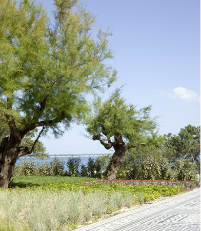 Las baldosas cambian de uso